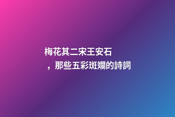 梅花其二宋王安石，那些五彩斑斕的詩詞-第1張-觀點-玄機派